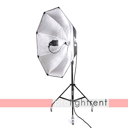 Profoto 5ft Faltreflektor inkl. 2 Frondiffusoren