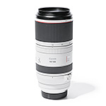 Canon RF 4,5-7,1/100-500mm L